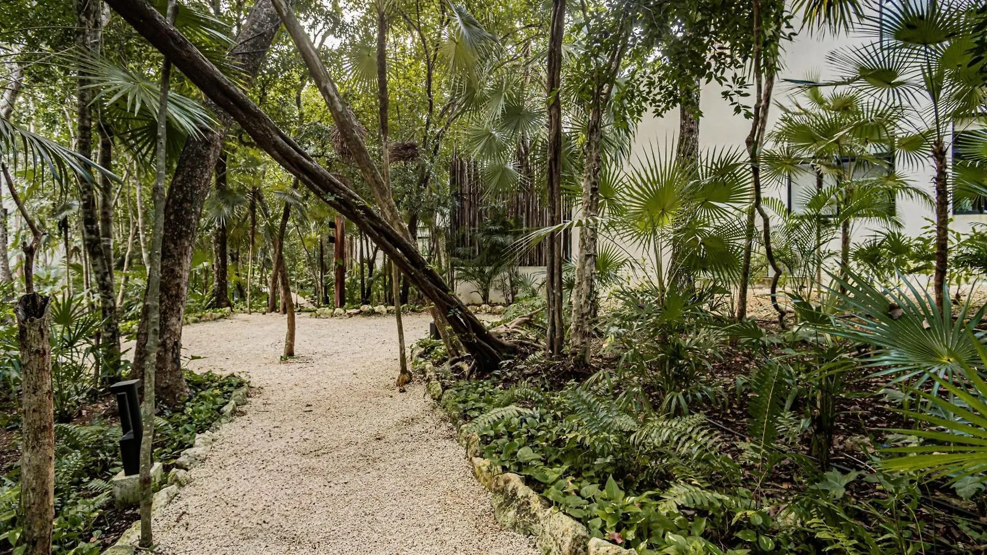 Apartamento Downtown Delight -Roof With Pool & Bbq & Jungle Gym Tulum